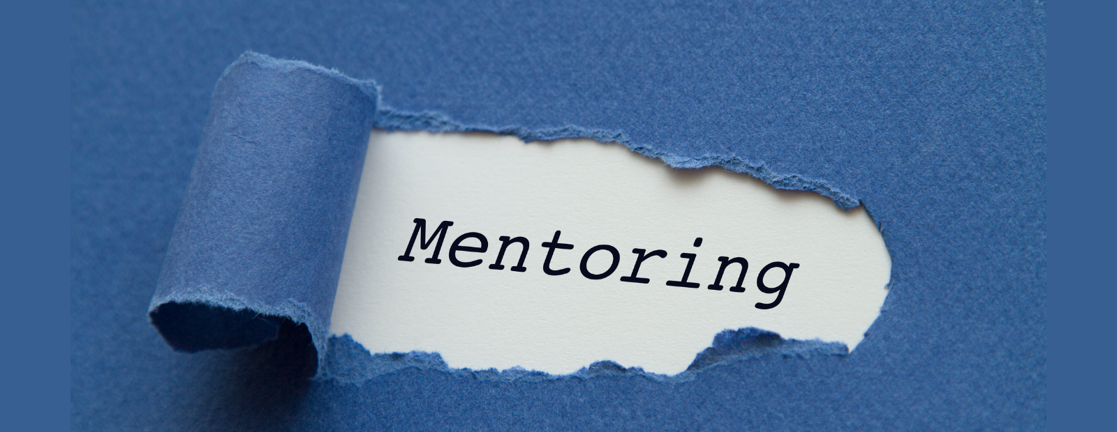 Mentoring and role models – can you see me?
